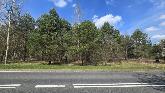 dom wolnostojący, 2 pokoje Dęba. Zdjęcie 10