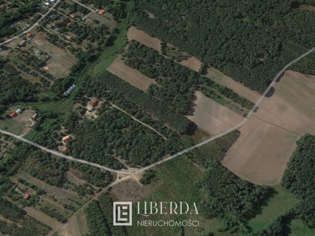 Działka rolna Kąty-Miąski. Zdjęcie 3