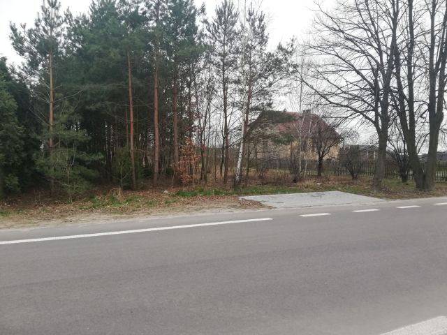 Działka budowlana Brzeźnica Bychawska-Kolonia Ruski Las. Zdjęcie 1