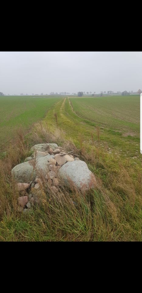 Działka rolno-budowlana Dobrojewo. Zdjęcie 3