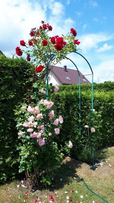 dom, 4 pokoje Oświno. Zdjęcie 18