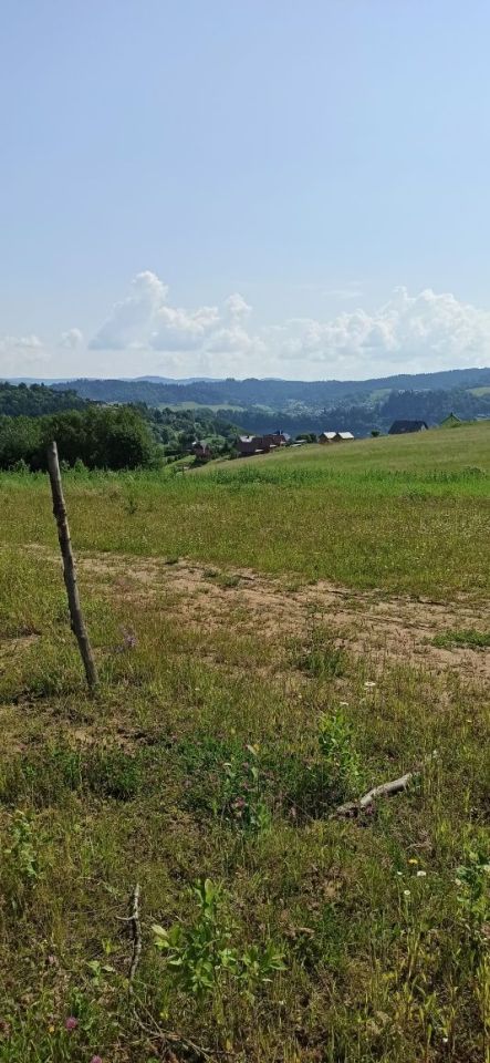 Działka rolna Wołkowyja. Zdjęcie 5