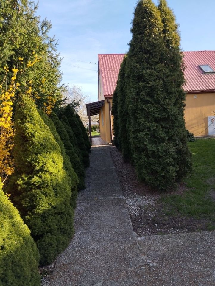 dom wolnostojący Przydwórz. Zdjęcie 7