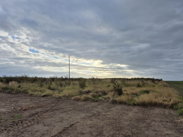 Działka rolno-budowlana Witkowo Drugie, ul. Czereśniowa. Zdjęcie 5