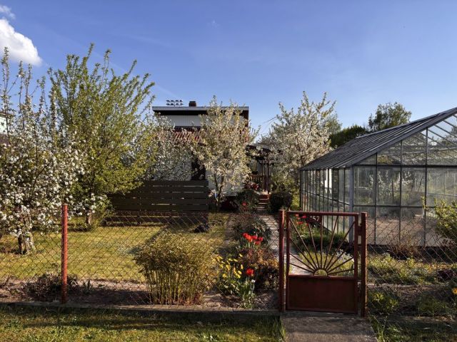 Działka rekreacyjna Tarnowskie Góry, ul. Wincentego Janasa. Zdjęcie 1