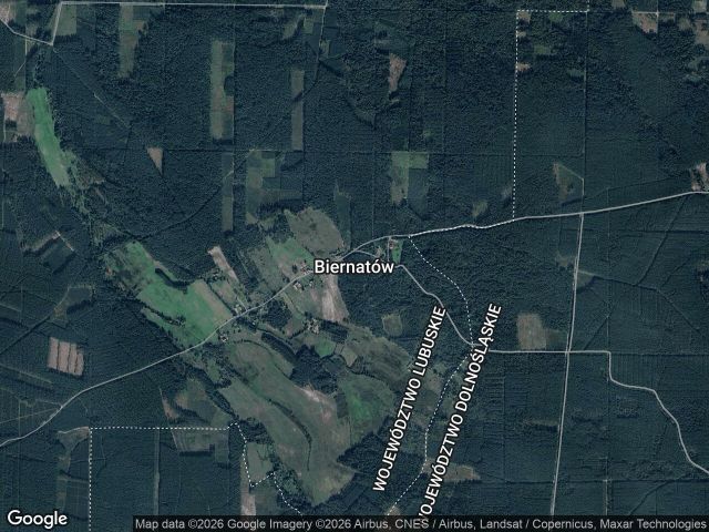 Działka rolna Biernatów, 12. Zdjęcie 1