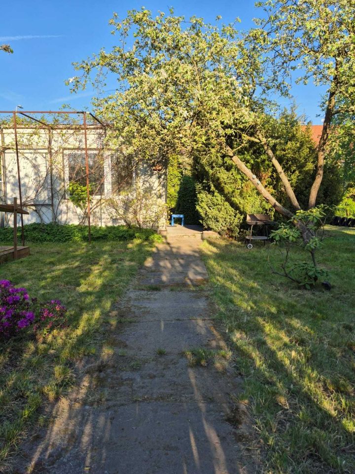 Działka rod Szczecin Pogodno, ul. Adama Mickiewicza. Zdjęcie 2