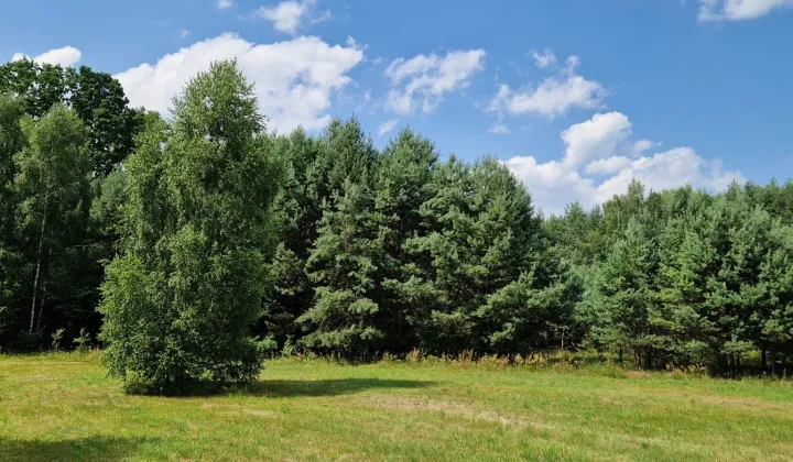 Działka budowlana Udrzynek, Udrzynek