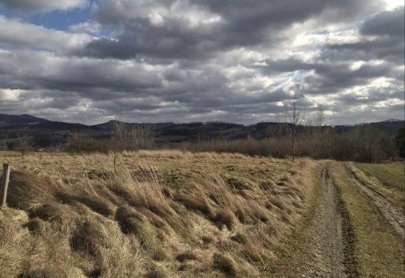 Działka rolna Puńców. Zdjęcie 4