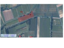 Działka rolna Ziempniów. Zdjęcie 1