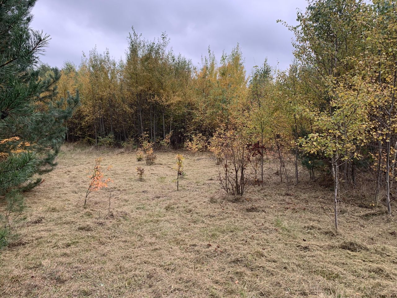 Działka budowlana Cychry. Zdjęcie 11