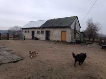 siedlisko Siarzewo. Zdjęcie 1