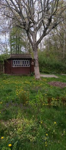 Działka rod Łapczyca. Zdjęcie 1