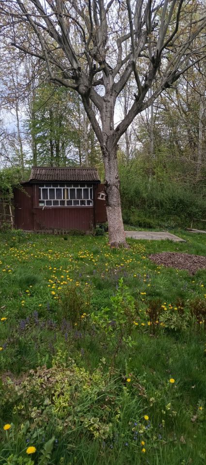 Działka rod Łapczyca