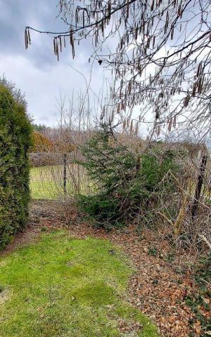 Działka budowlana Świerklaniec, ul. Polna. Zdjęcie 5