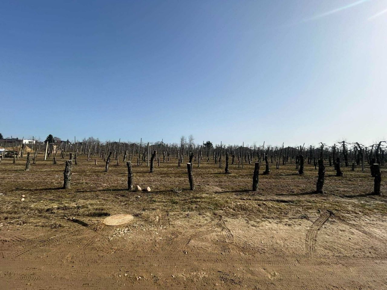 Działka budowlana Stok Lacki. Zdjęcie 7