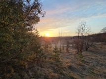 Działka rolno-budowlana Sznurki, Świerkowa. Zdjęcie 1