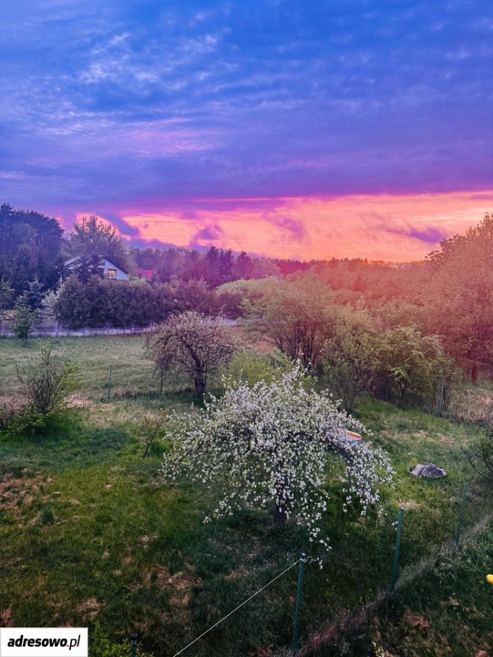 dom wolnostojący, 3 pokoje Zielonagóra. Zdjęcie 14