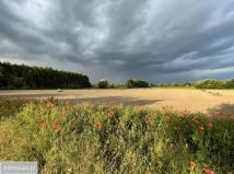 Działka budowlana Żelazowa Wola