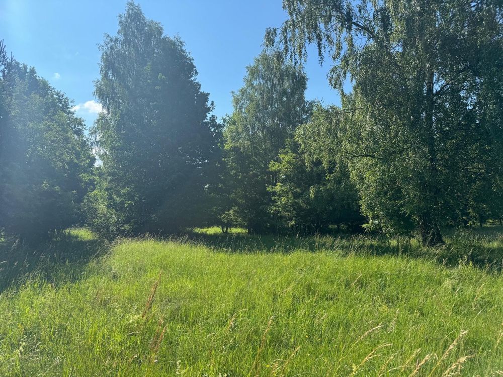 Działka budowlana Suchedniów. Zdjęcie 2