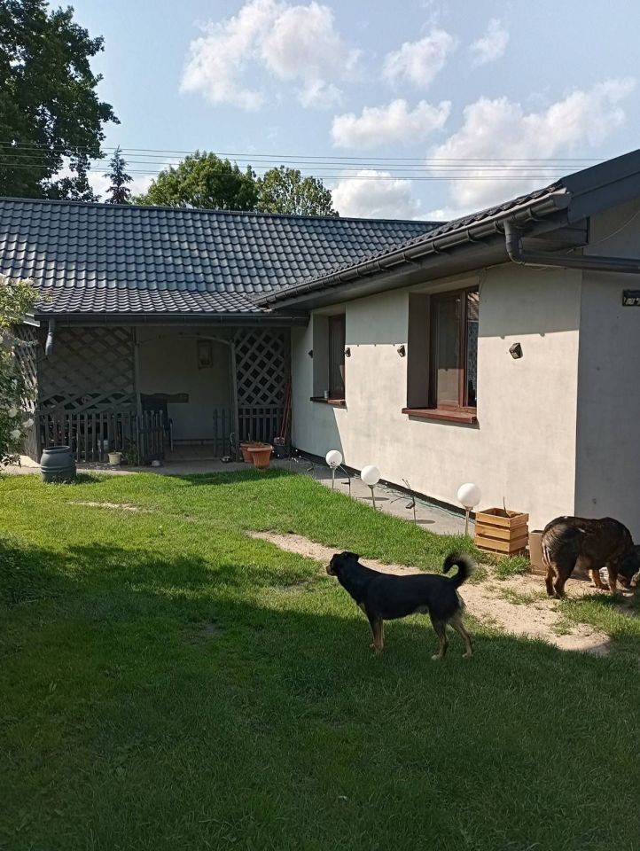 dom Stary Komunin. Zdjęcie 6