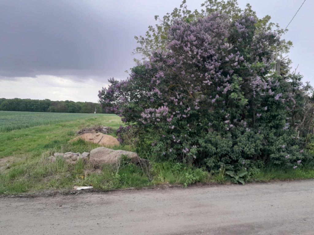 Działka budowlana Zdziarka. Zdjęcie 3