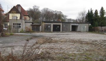 Działka Mogilno