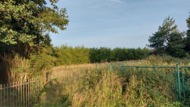 Działka rekreacyjna Karwieńskie Błoto Drugie. Zdjęcie 1