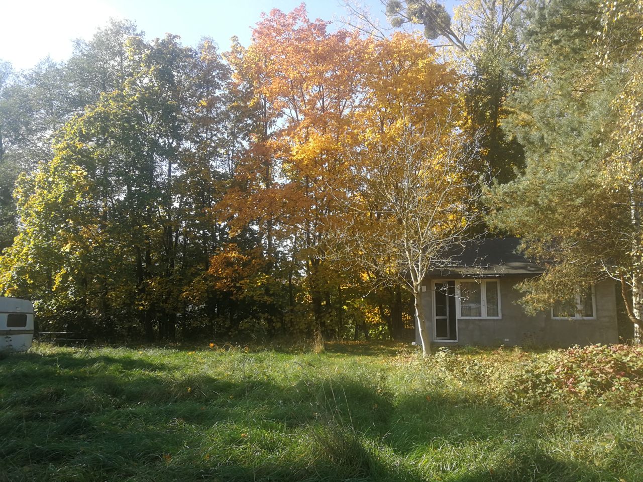 Działka rolno-budowlana Dzierżązna, ul. Brzozowa. Zdjęcie 6