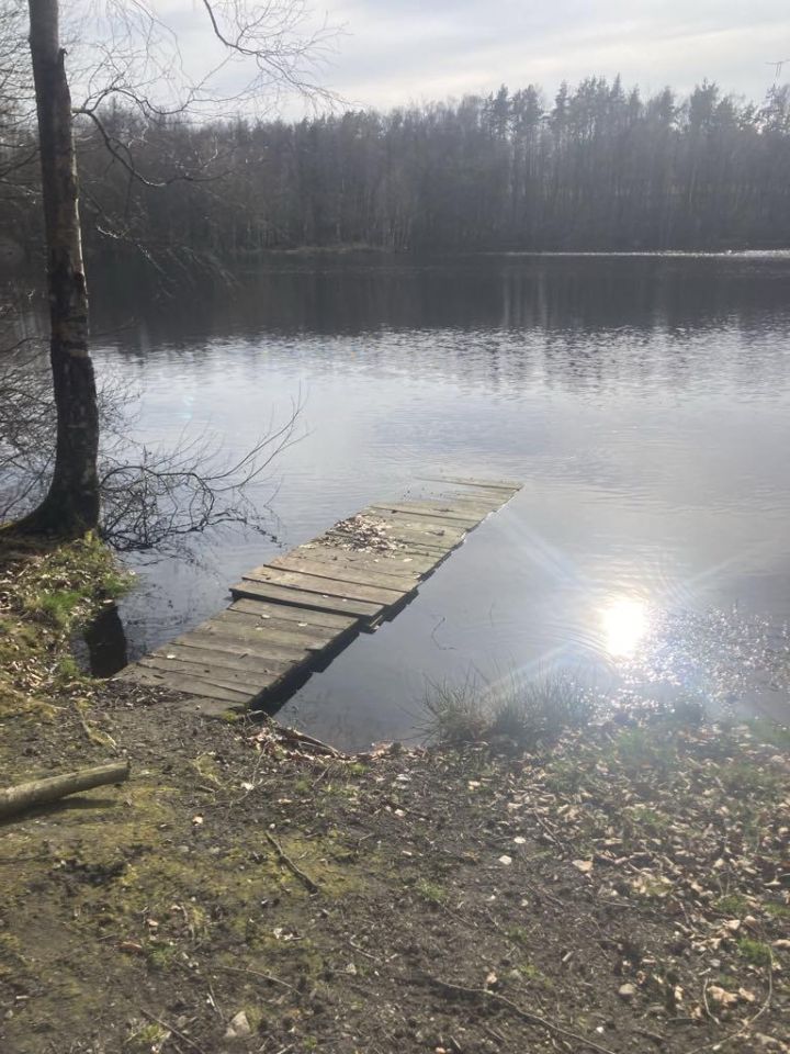 Działka budowlana Łosienice Dąbrowa. Zdjęcie 4