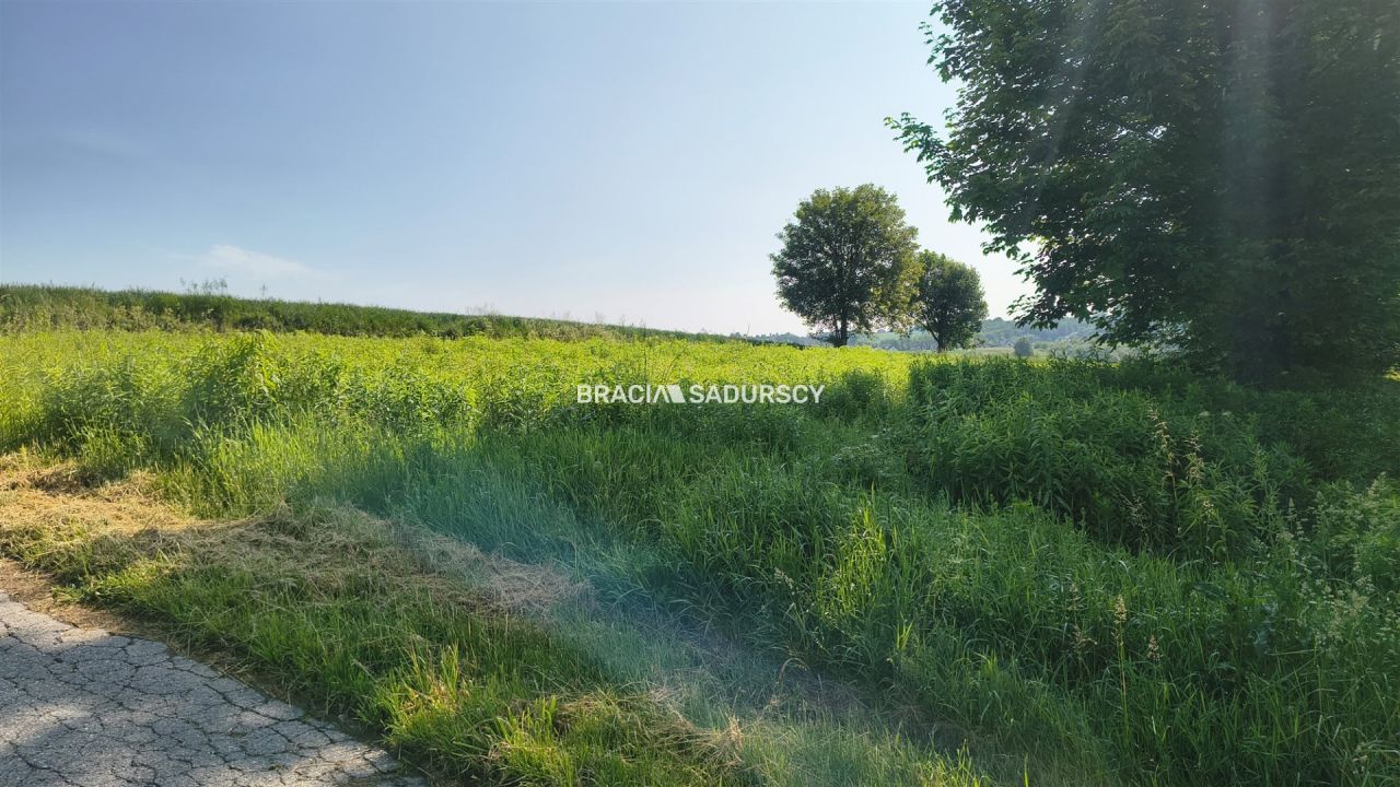 Działka inwestycyjna Baranówka. Zdjęcie 6