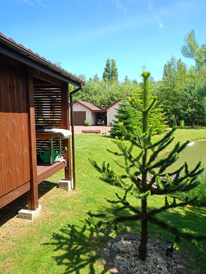 dom wolnostojący, 3 pokoje Wiktorowo. Zdjęcie 10