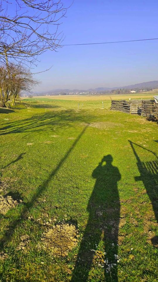 Działka budowlana Kalembina. Zdjęcie 5