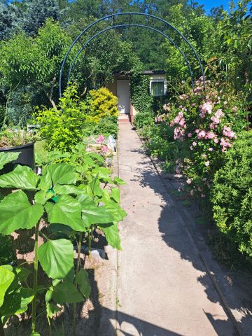 Działka rod Lubin, ul. Ścinawska. Zdjęcie 1