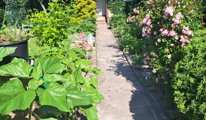 Działka rod Lubin, ul. Ścinawska