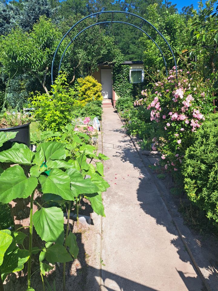 Działka rod Lubin, ul. Ścinawska. Zdjęcie 1