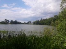 Działka budowlana Darżewo. Zdjęcie 2