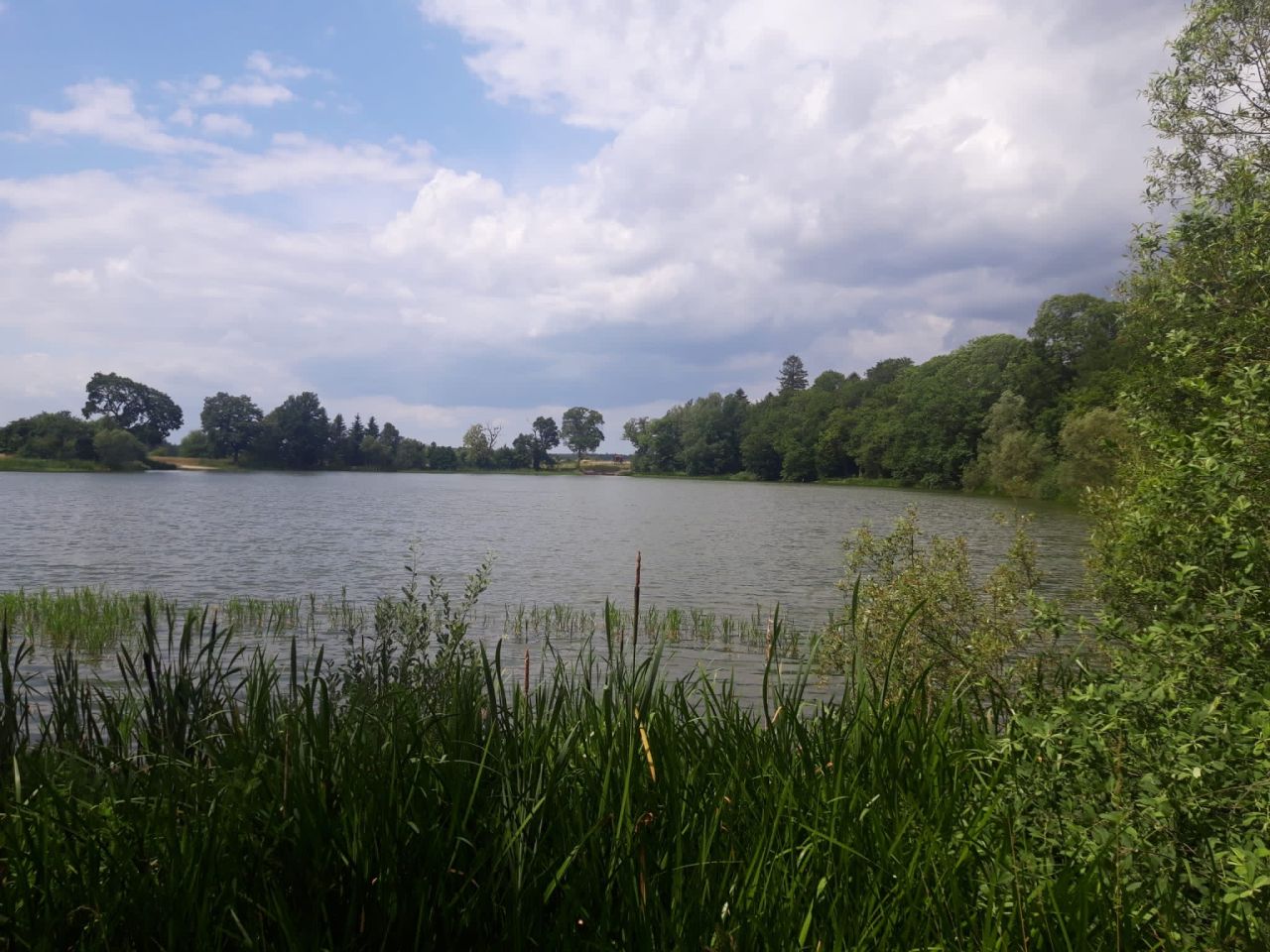 Działka budowlana Darżewo. Zdjęcie 3