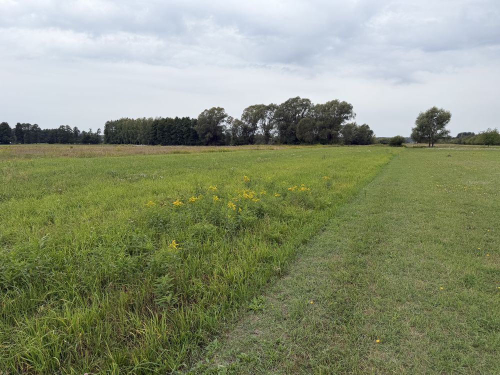 Działka budowlana Białe. Zdjęcie 1