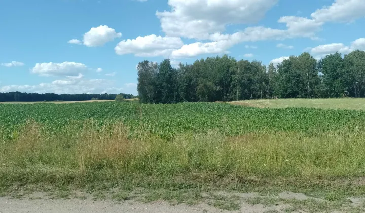 Działka budowlana Wilcze Błota Kościerskie
