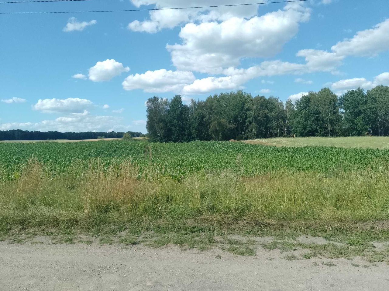 Działka budowlana Wilcze Błota Kościerskie. Zdjęcie 1