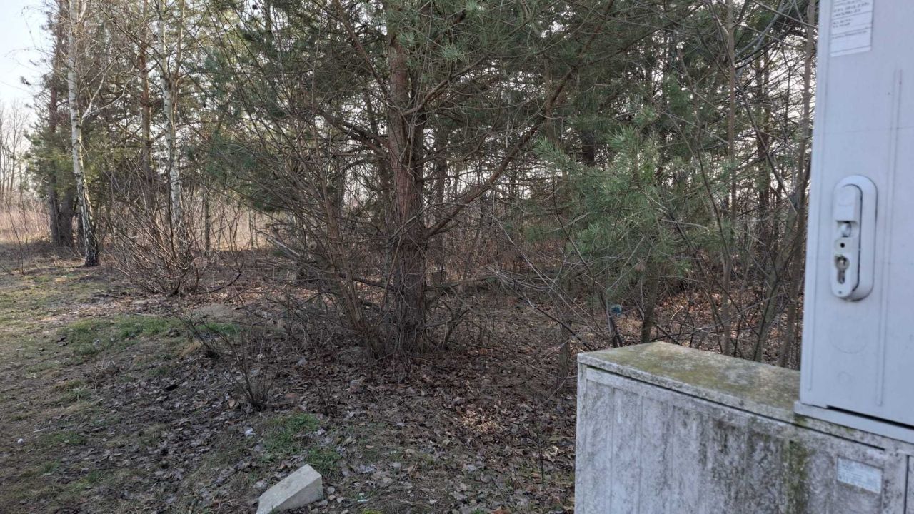 Działka budowlana Michałów-Reginów. Zdjęcie 4