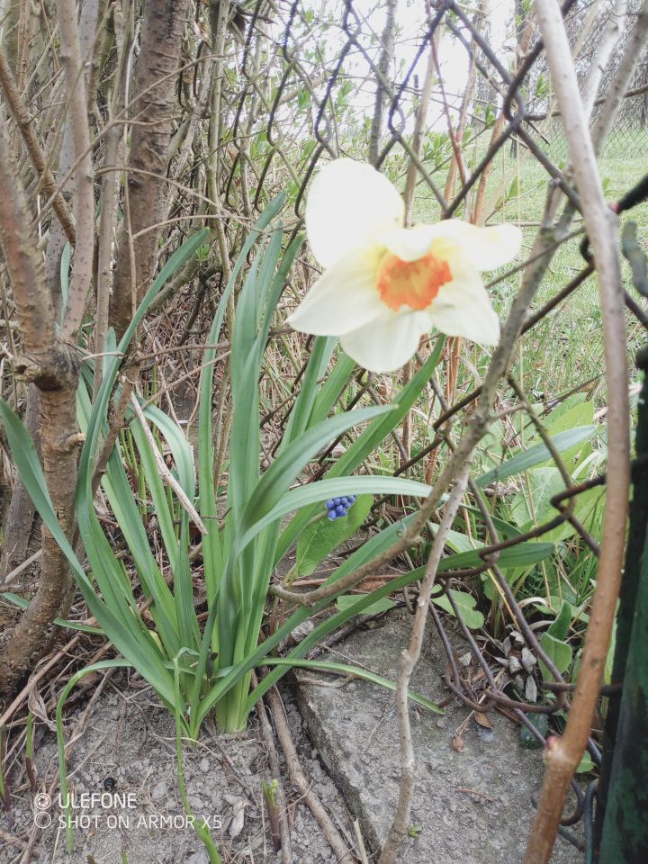 Działka rod Częstochowa Aniołów, ul. Ugody. Zdjęcie 8