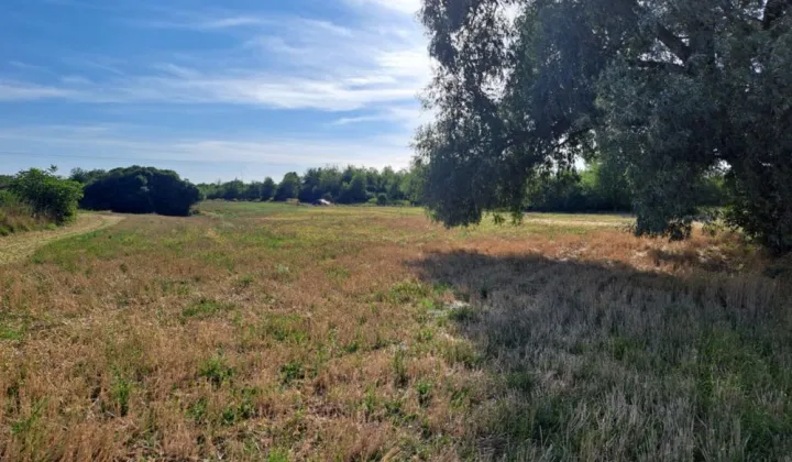 Działka budowlana Stalowa Wola Charzewice, ul. Graniczna