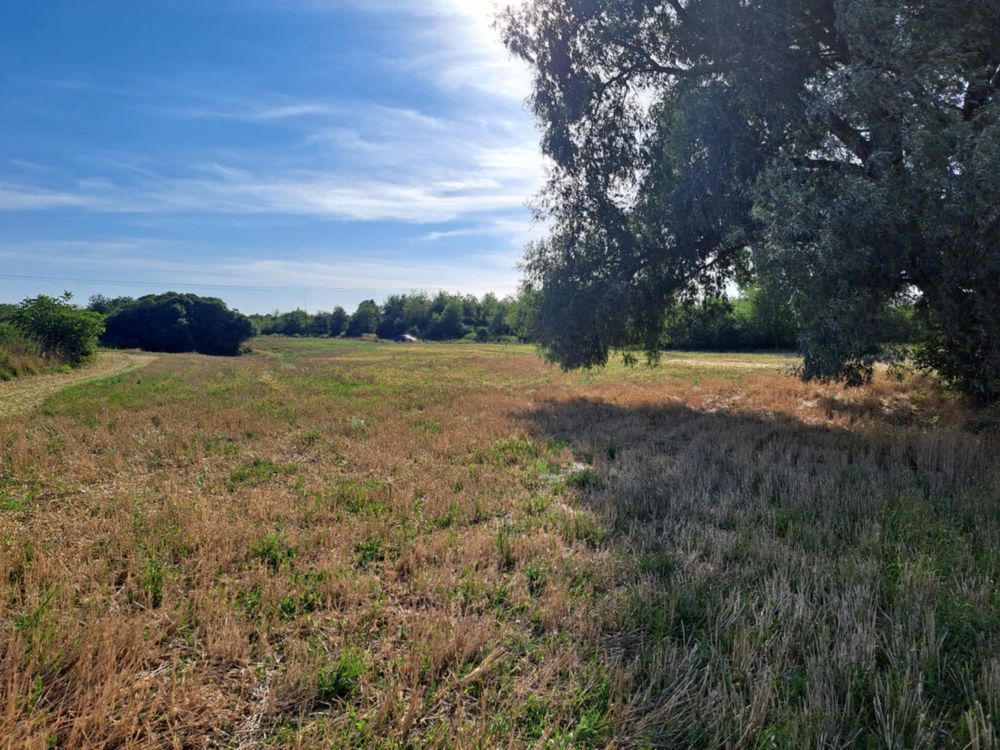 Działka budowlana Stalowa Wola Charzewice, ul. Graniczna