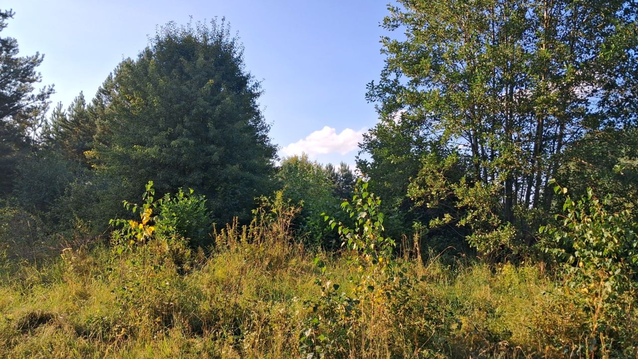 Działka rekreacyjna Kręsk, ul. Zofii. Zdjęcie 9