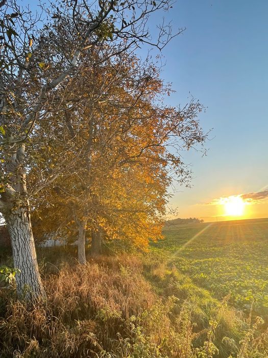 Działka budowlana Jabłonna Druga. Zdjęcie 4