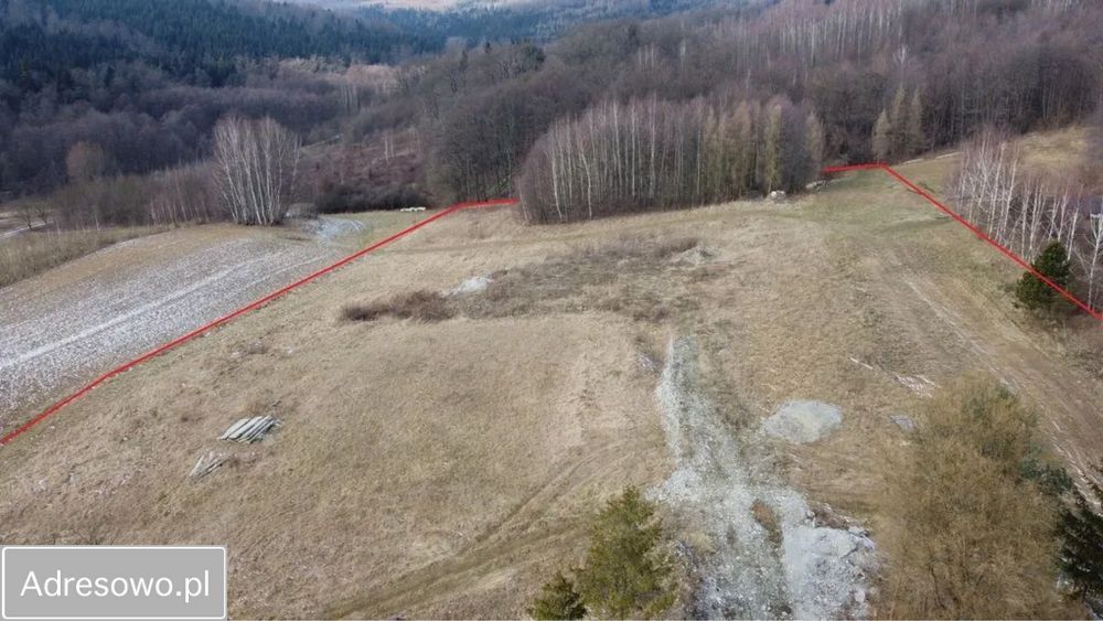 gospodarstwo Okonin. Zdjęcie 7