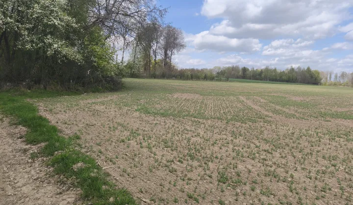 Działka rolna Kłopoty-Stanisławy