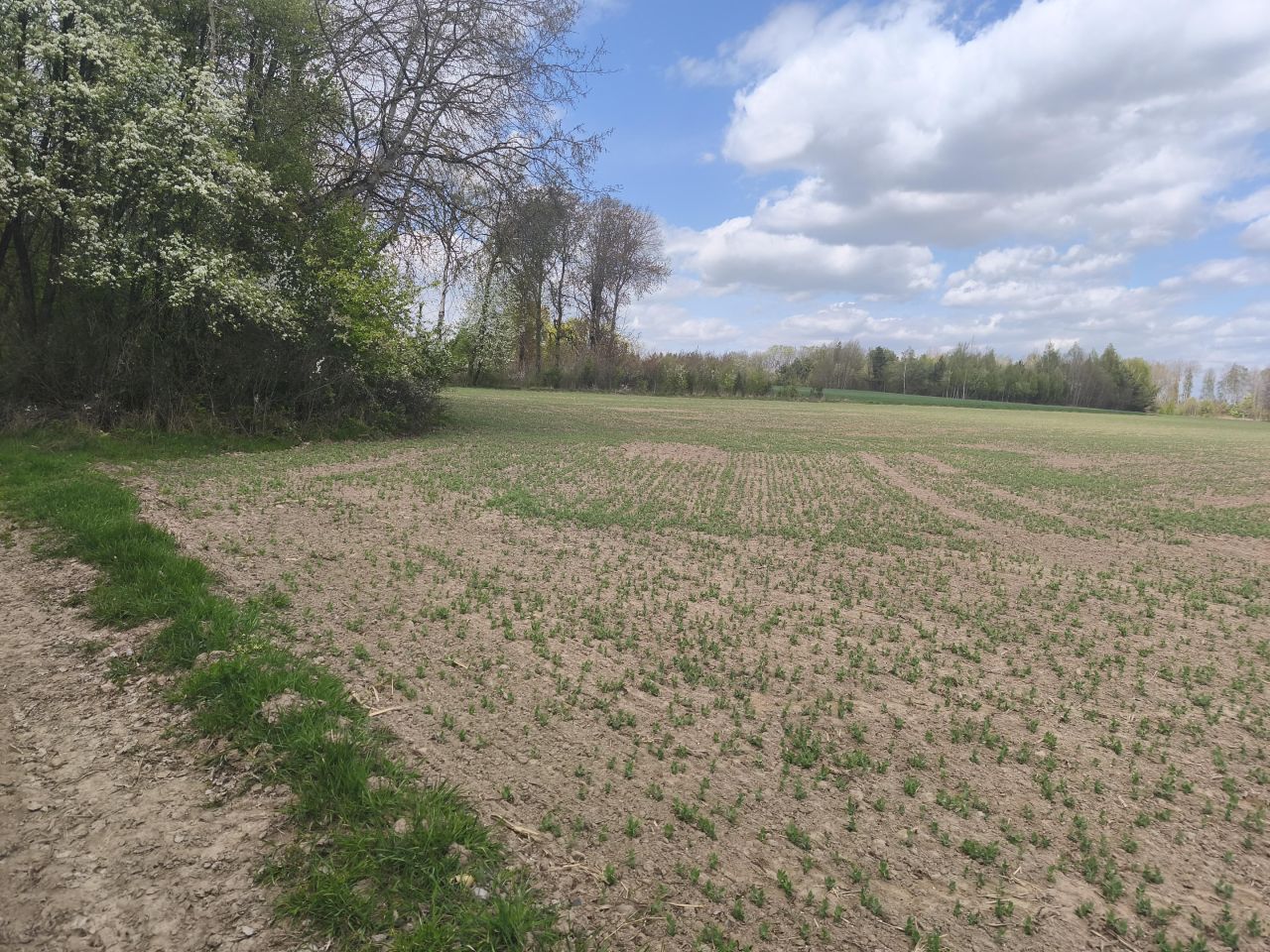 Działka rolna Kłopoty-Stanisławy. Zdjęcie 1